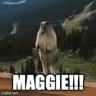 Groundhog Standing On Hind Legs Maggie GIF