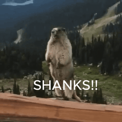 Groundhog Standing On Hind Legs On Wooden Ledge GIF