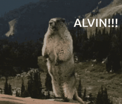 Groundhog Standing On Hind Legs Saying Alvin GIF