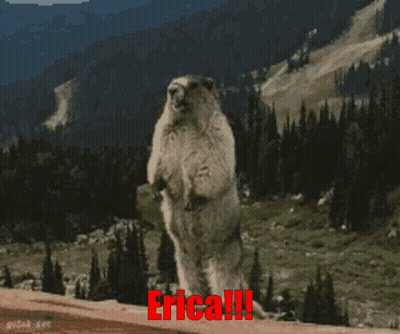 Groundhog Standing On Hind Legs Saying Erica GIF
