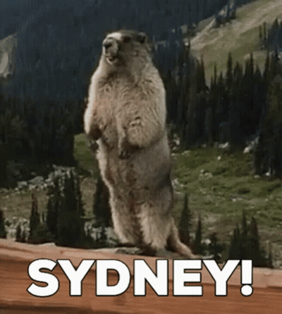 Groundhog Standing On Hind Legs Sydney GIF