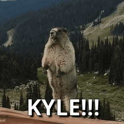 Groundhog Standing On Hind Legs With Kyle GIF