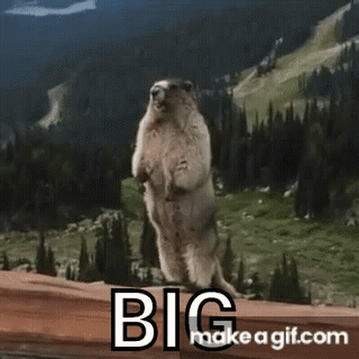 Groundhog Standing On Wooden Railing In Front Of Mountain GIF