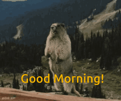 Groundhog Standing Saying Good Morning GIF