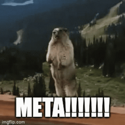 Groundhog Standing Saying Meta !!! GIF