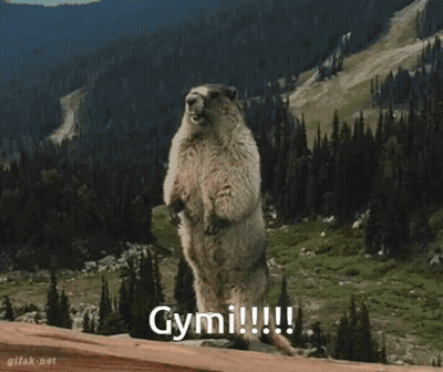 Groundhog Standing With Gymi !!! GIF