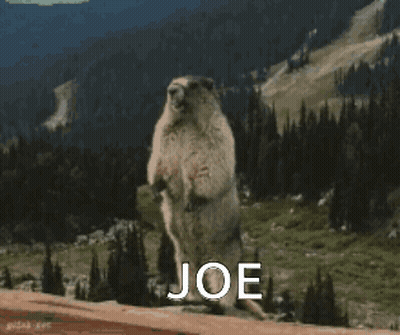 Groundhog Standing With Joe GIF