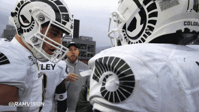 Groundhog Standing With Meta !!! GIF
