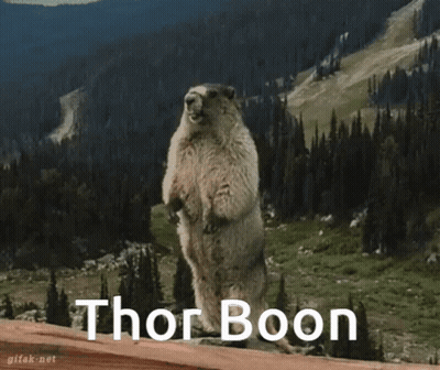 Groundhog Standing With Thor Boon Below GIF