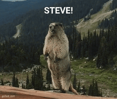 Groundhog Steve Standing On Hind Legs GIF