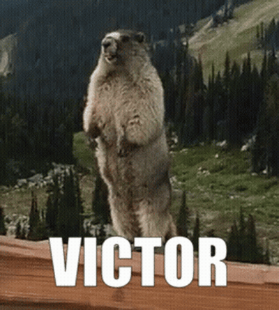 Groundhog Victor Standing GIF
