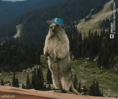 Groundhog With Hat Saying Euuuuck GIF