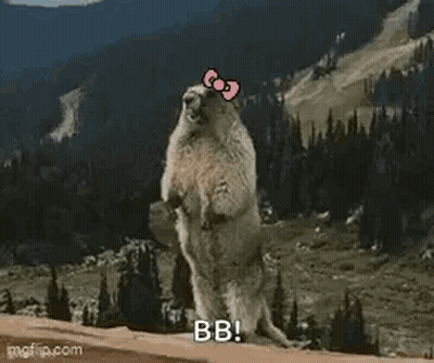 Groundhog With Hello Kitty Bow Standing On Hind Legs Near Mountain GIF