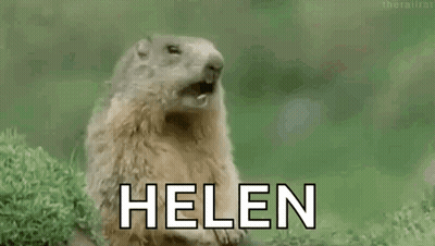 Groundhog With Mouth Open Sitting In Grass Saying Helen GIF
