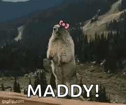 Groundhog With Pink Bow Standing And Saying Maddy GIF