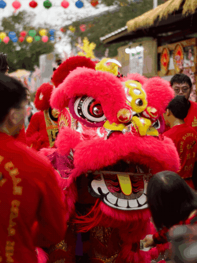 Group Around Lion Costume With Chinese Writing GIF