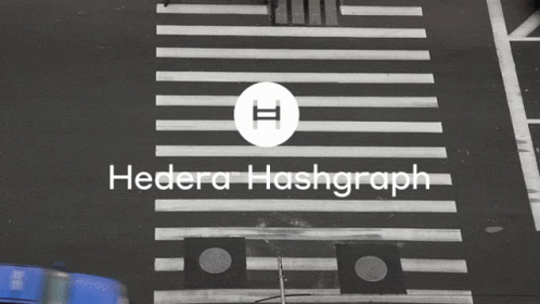 Group Crossing Street Hedera Hashgraph GIF