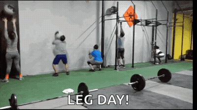 Group Doing Leg Day In Gym GIF