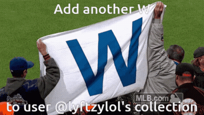 Group Holding Blue And White Flag GIF