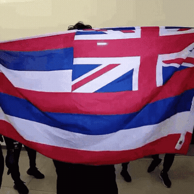 Group Holding Large Flag GIF