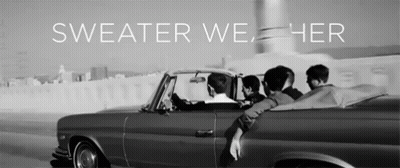 Group In Car Saying Sweater We Her GIF