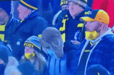 Group In Cat Hats And Scarves Watching Game GIF