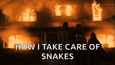 Group In Front Of Burning House GIF