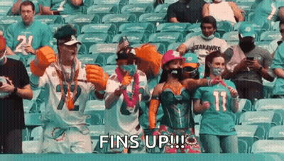 Group In Stadium Watching Football Game Woman In Costume GIF