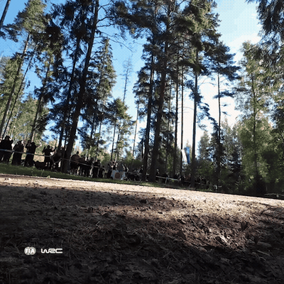 Group In Woods Near Fia W2c Sign GIF