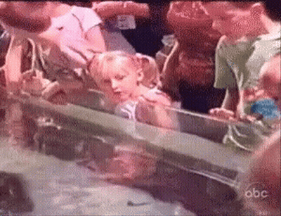 Group Looking At Fish Tank With ABC GIF