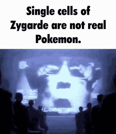 Group Looking At Screen Saying Zygarde Are Not Real Pokemon GIF