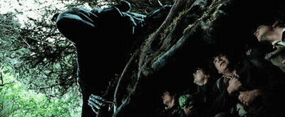 Group Looking Up At Tree Trunk GIF
