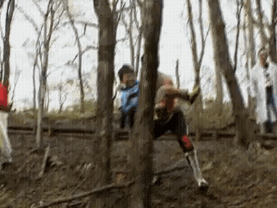 Group Member Jumping Through Tree In Woods GIF