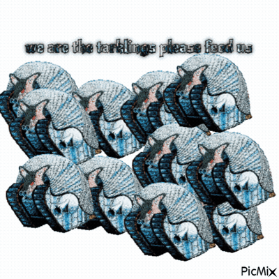 Group Of Armadillos We Are The Tarklings Please Feed Us GIF