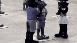 Group Of Black Panther Mascot  GIF