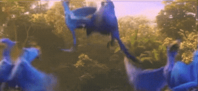 Group Of Blue Birds Flying GIF