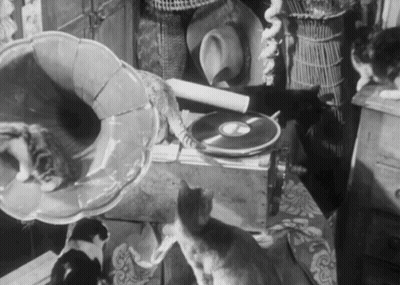 Group Of Cats Sitting Around Record Player GIF