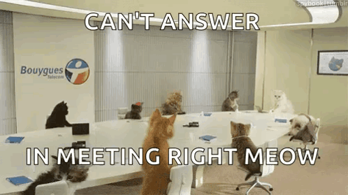 Group Of Cats Sitting Around Table Can't Answer In Meeting Right Meow GIF