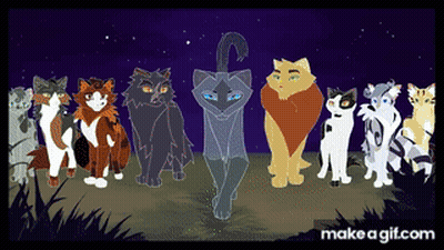 Group Of Cats Standing Together GIF
