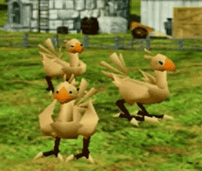 Group Of Chickens Standing In Field GIF