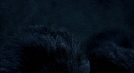 Group Of Critters Attacked GIF