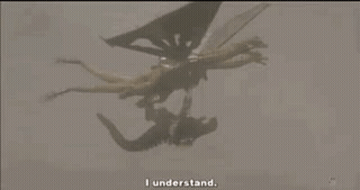 Group Of Dragons Flying Over Person GIF