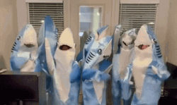 Group Of Friends Baby Shark GIF
