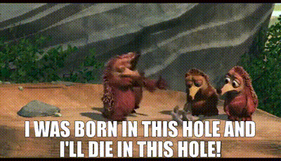 Group Of Hedgehogs Standing On Dirt Hill GIF