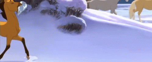 Group of Horses Standing in Snow