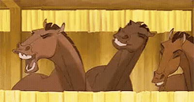 Group Of Horses Standing In Stable GIF
