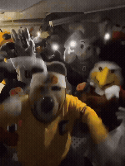 Group Of Mascots One Wearing Yellow Shirt Saying C GIF