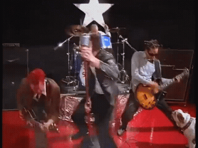 Group Of Men Playing Guitars On Stage While Dog Watches GIF