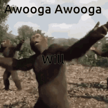 Group Of Monkey Performing Awooga Dance