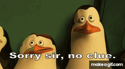 Group Of Penguins Saying Sorry Sir No Clue GIF